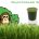 Wheat Grass