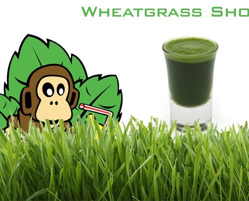 Wheat Grass
